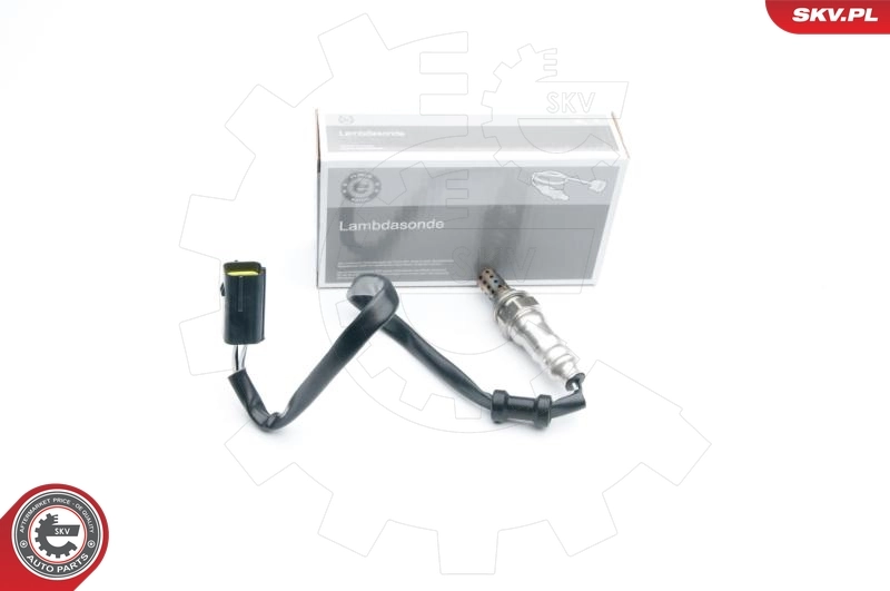 Oxygen Sensor